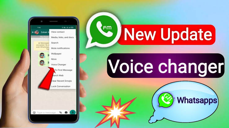 Top 18 WhatsApp Voice Changer Male to Female Apps